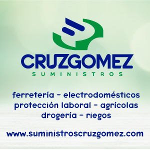 Suministros Cruz Gómez Marzo 2022 3 meses